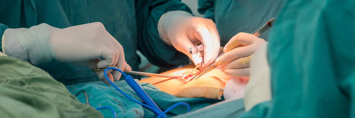 RaymanNicoJR's profile banner image