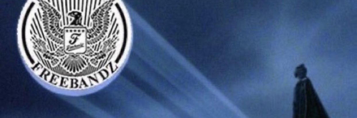 erik_fbg's profile banner image