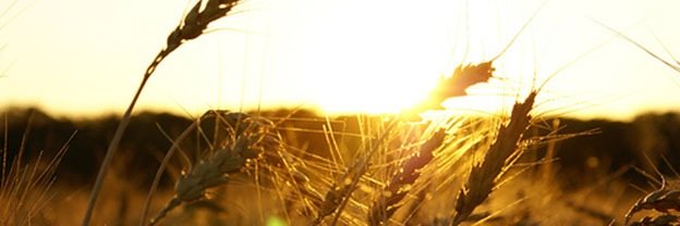 Zachv43's profile banner image