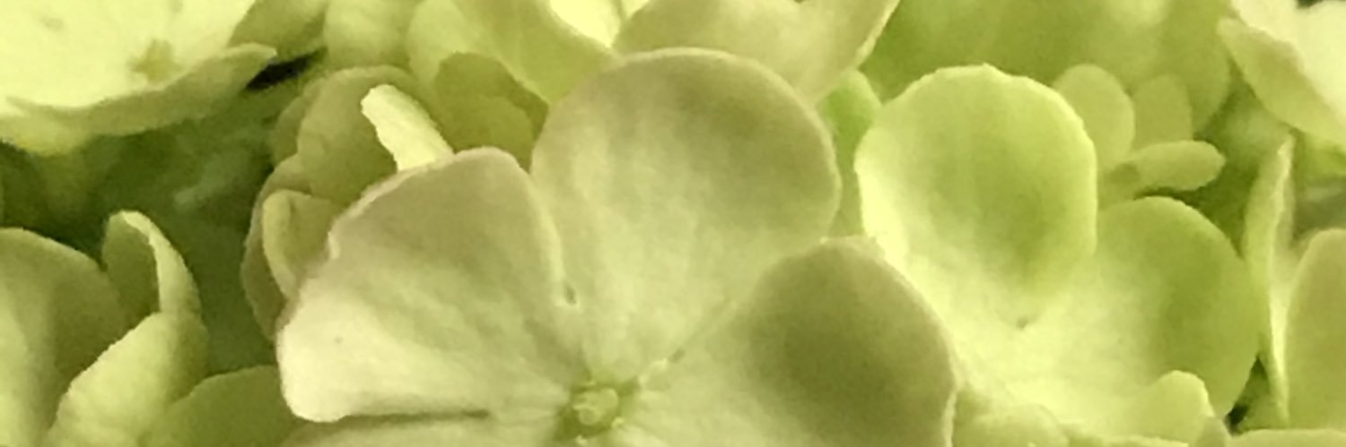 DS_chico's profile banner image