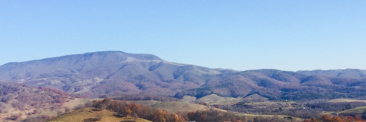 BushTbush's profile banner image