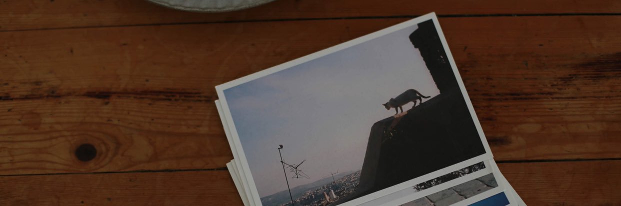 stardust1025's profile banner image