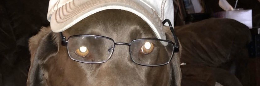 HuckChelby's profile banner image
