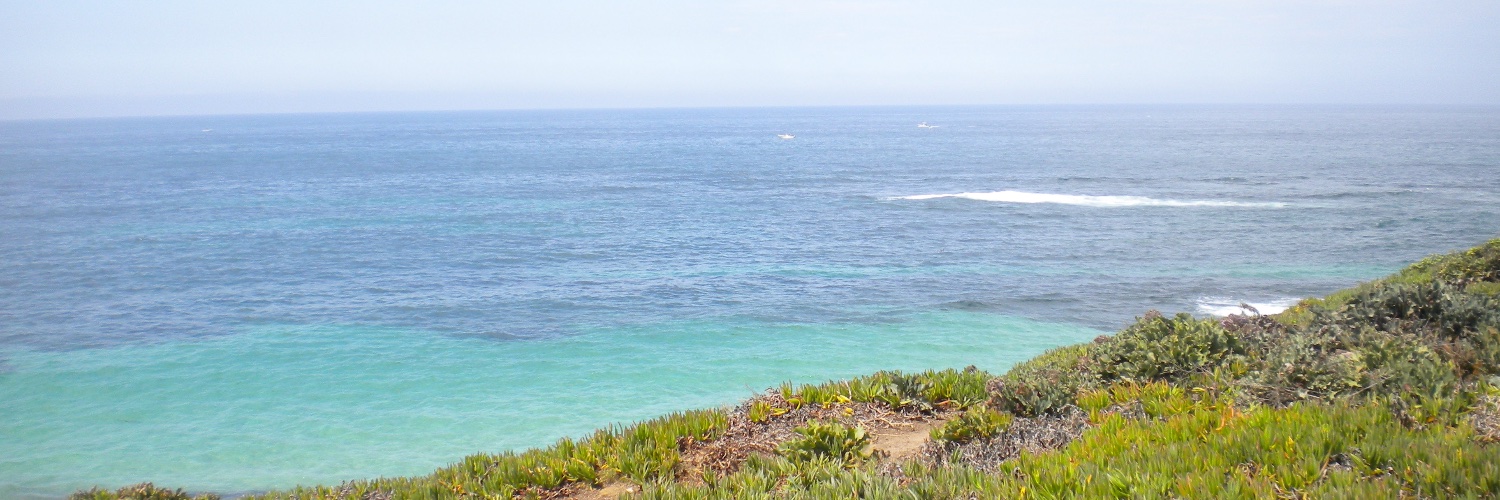 Samantha Scarnechia banner