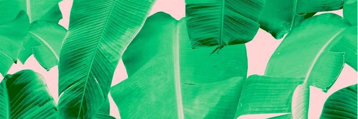 lissamado's profile banner image