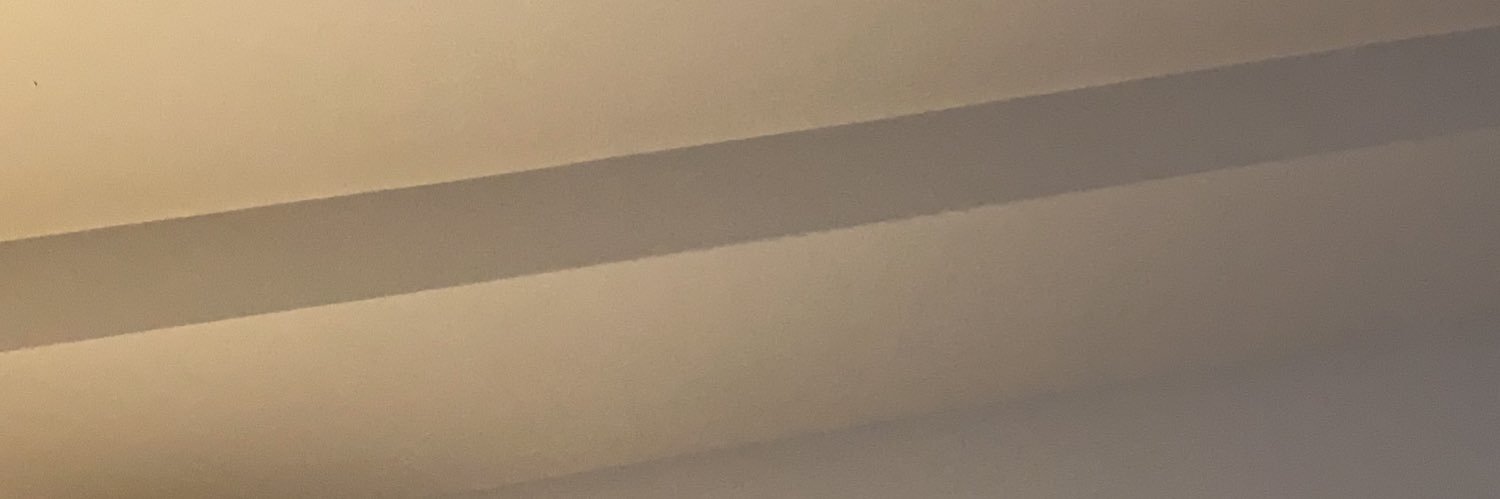 Ann Benjamas Liendo banner