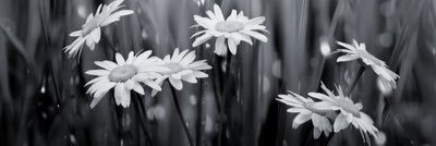 EmilyKate105's profile banner image