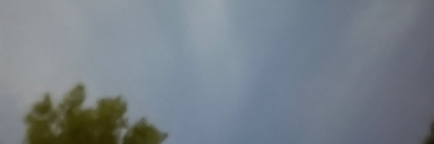 AmandasInk's profile banner image