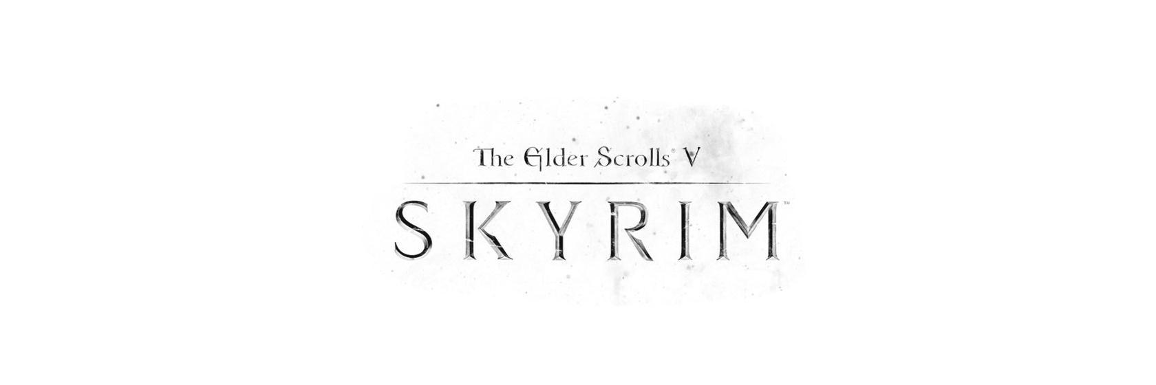 SKYRIM MODTYPE banner