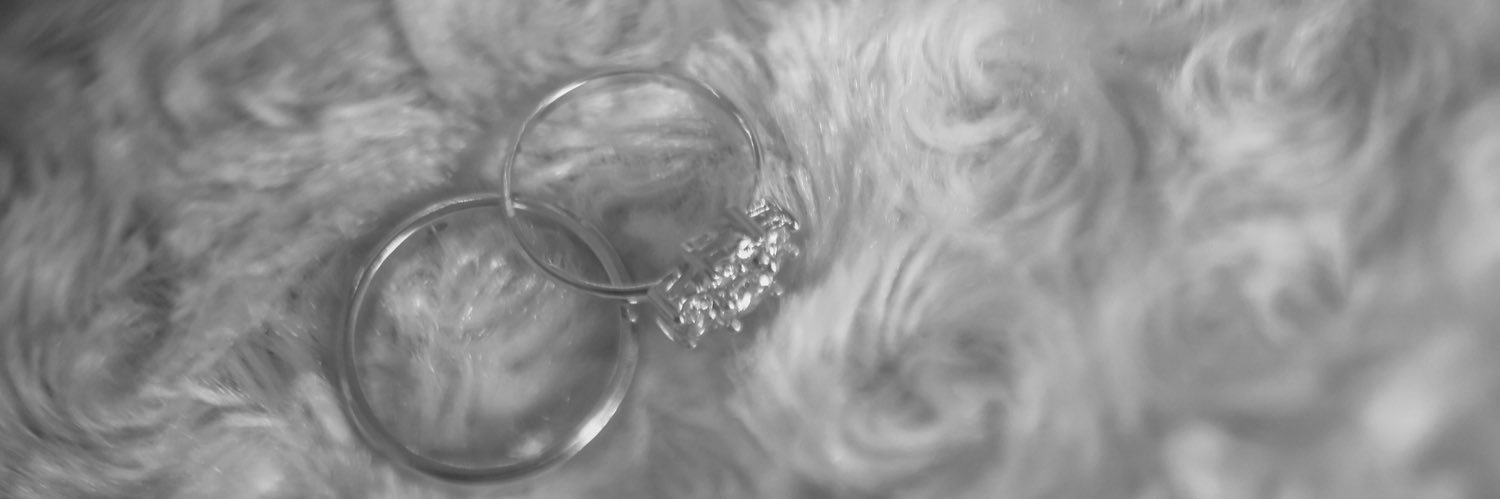 prstwty's profile banner image