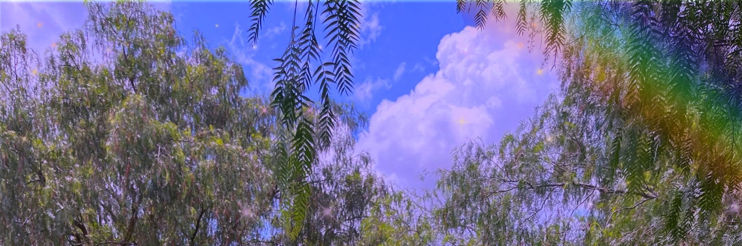 ViriGalvez's profile banner image