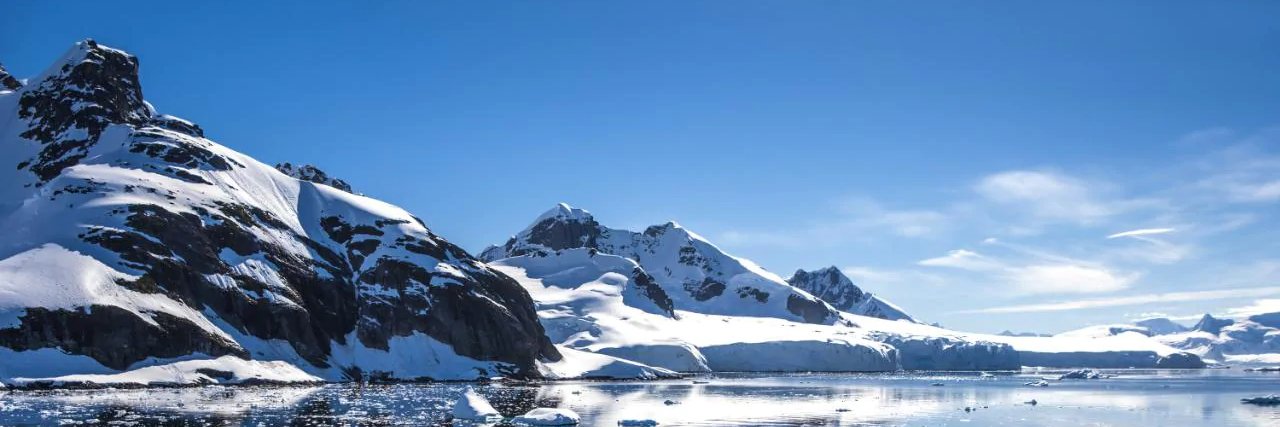 Mario de Jesus banner