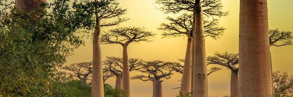 InsureandGoAU Profile Banner