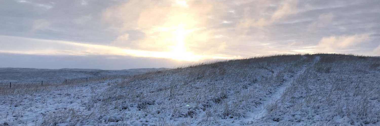 RileyGarey's profile banner image