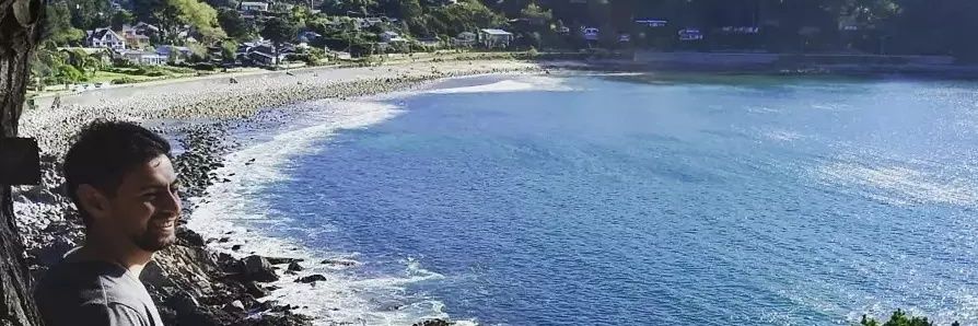 Manuel Torres banner