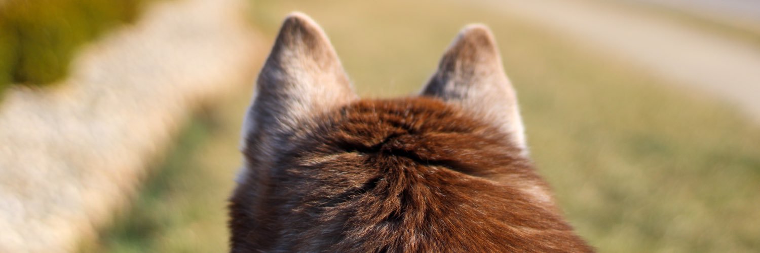 Kevin_saac's profile banner image