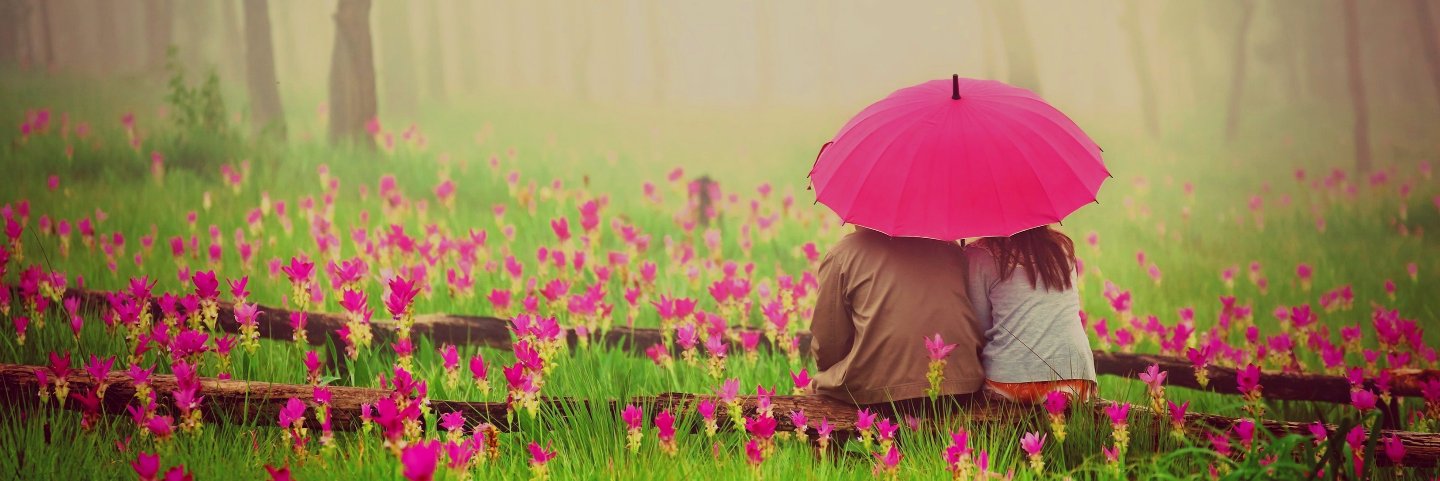 ankit_gaikar's profile banner image