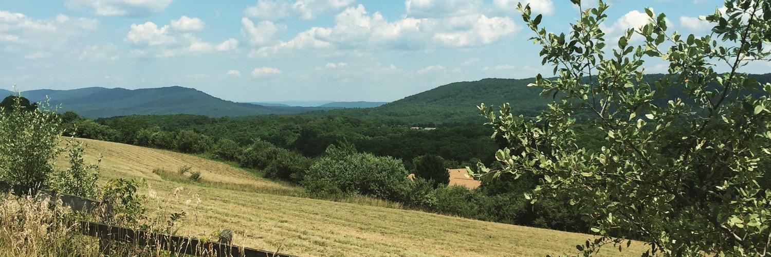 Chris Crawford banner