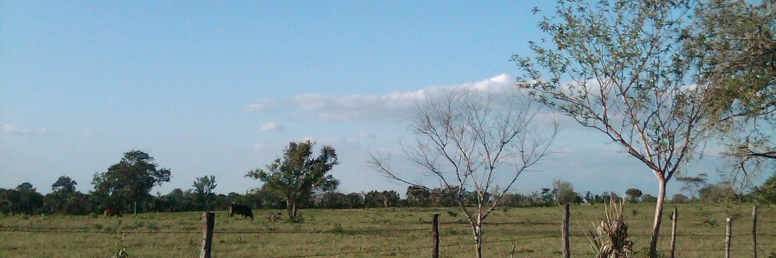 tamuin's profile banner image