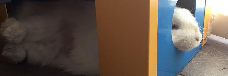wilsy01's profile banner image