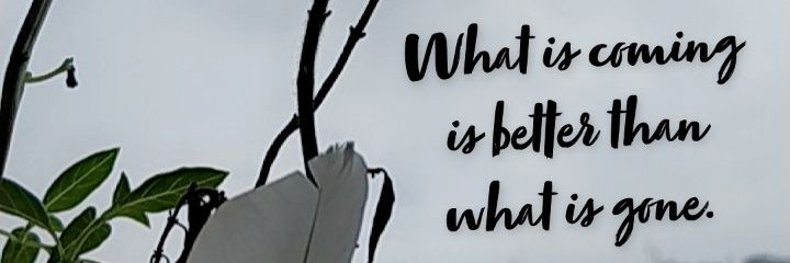 AdityazRajput's profile banner image