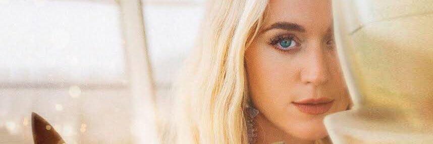 dewisarini's profile banner image