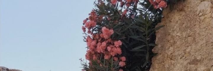 abdullah552111's profile banner image