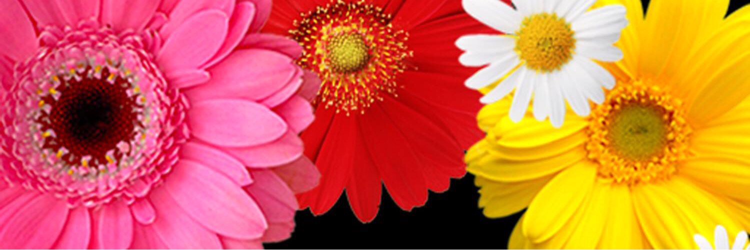 mlkiy5's profile banner image