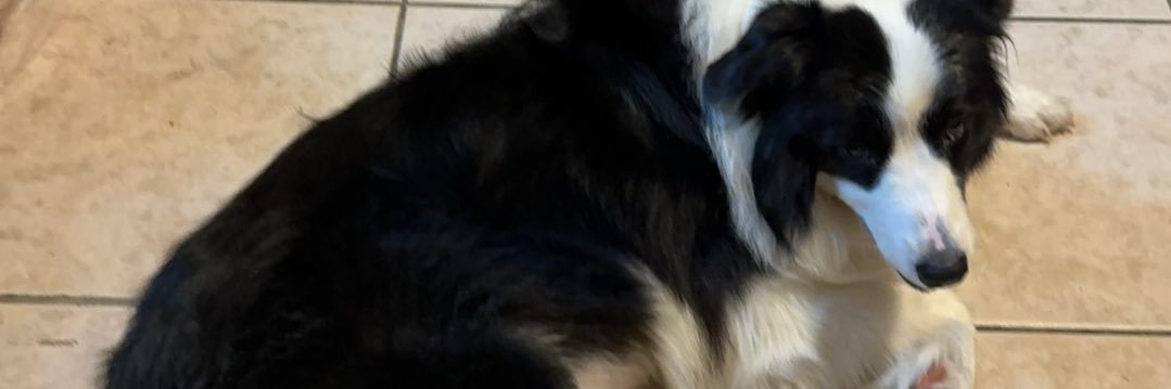 duc04040041's profile banner image