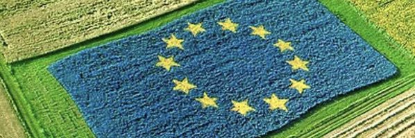 Simona Caselli banner