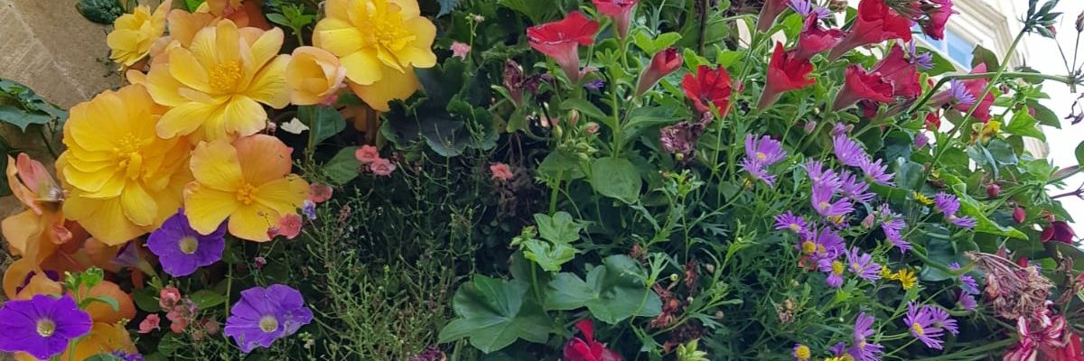 ESTYC1's profile banner image