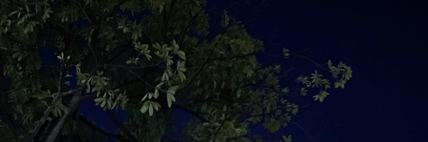 aurel4173's profile banner image