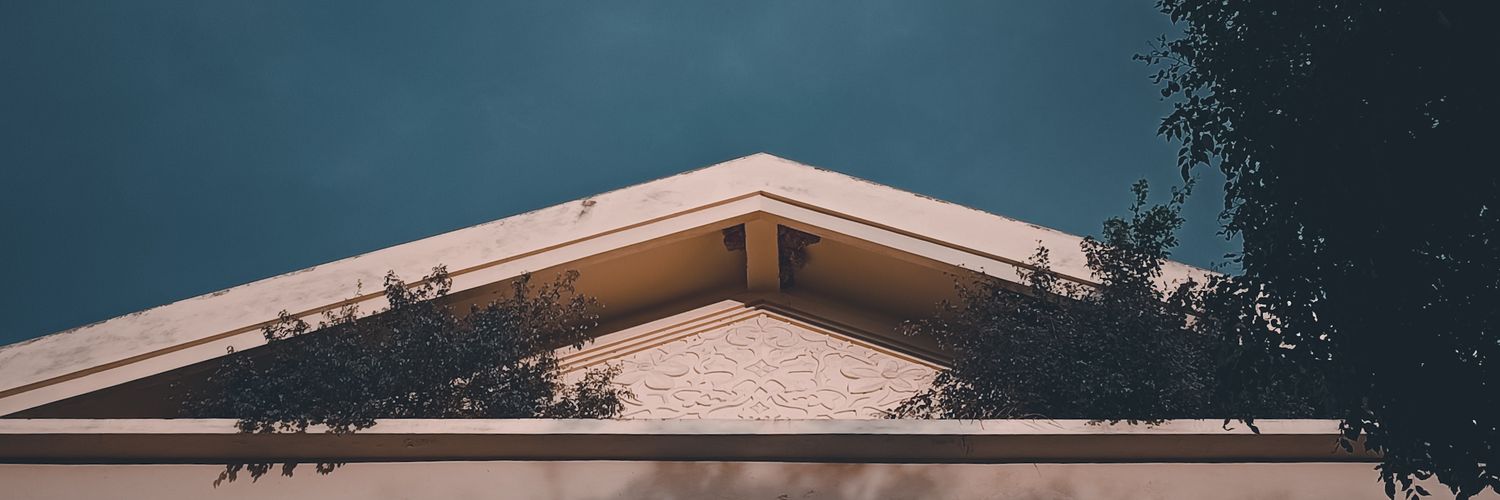 roniSN_'s profile banner image