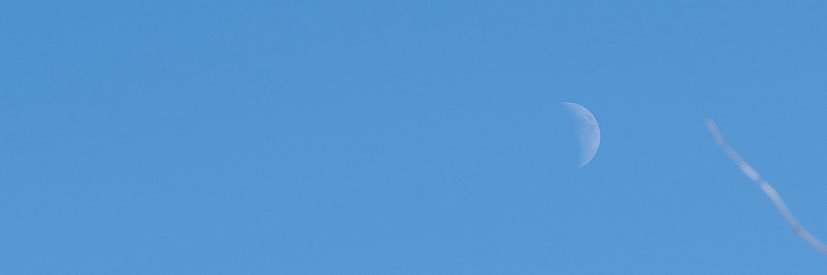 Lena_Firefox's profile banner image