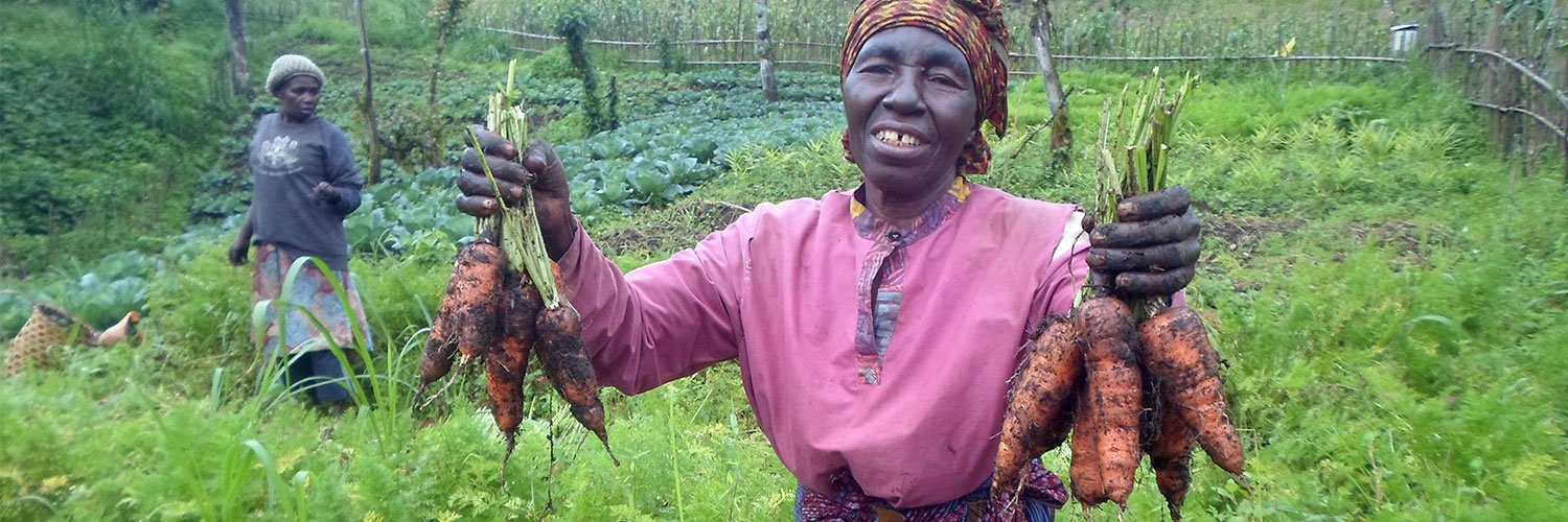 CDVTA Cameroon banner