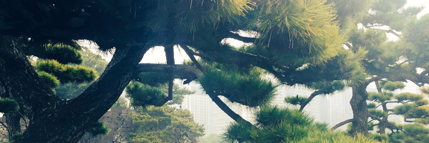 fosterlkatie's profile banner image