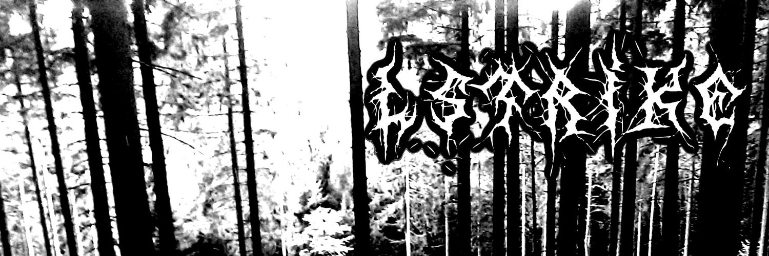 mrlstrike's profile banner image