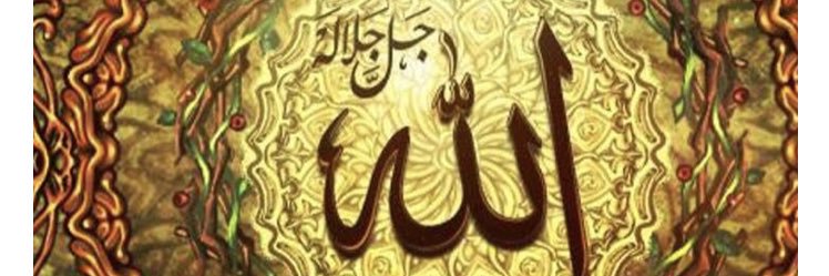 sary901's profile banner image