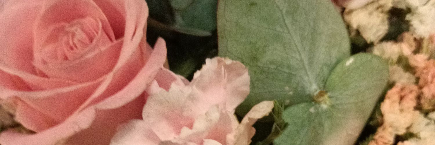 alemoc28's profile banner image