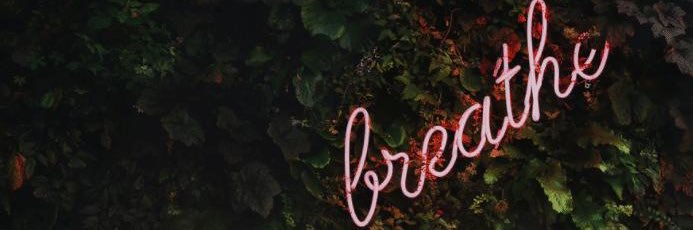 Samantha Rubin banner