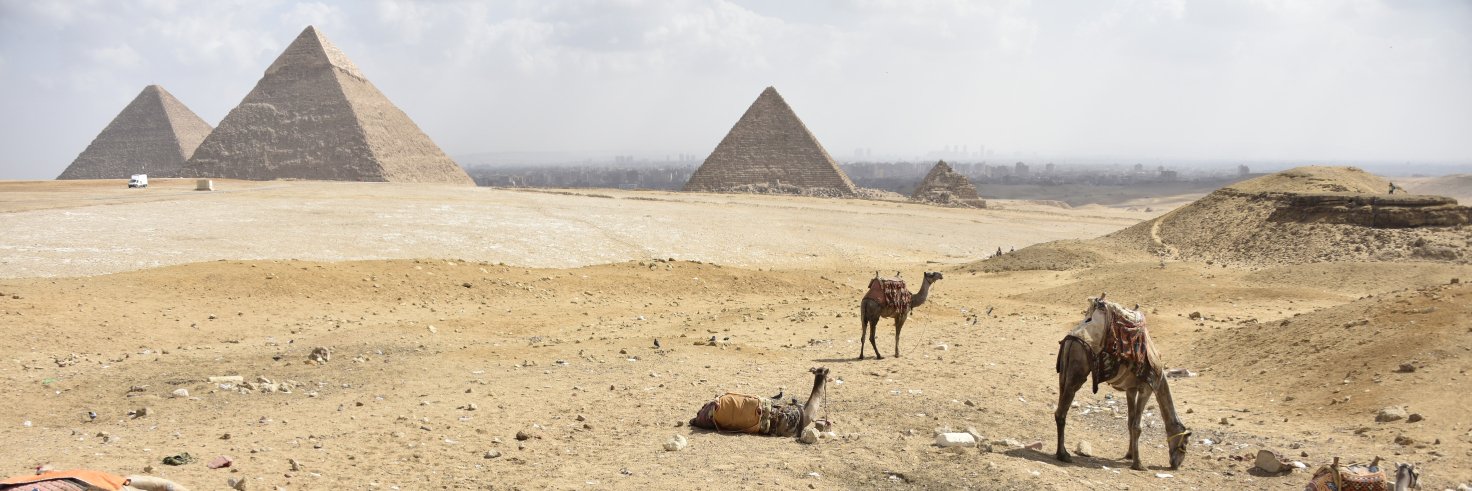 Diederick E. Grobbee banner