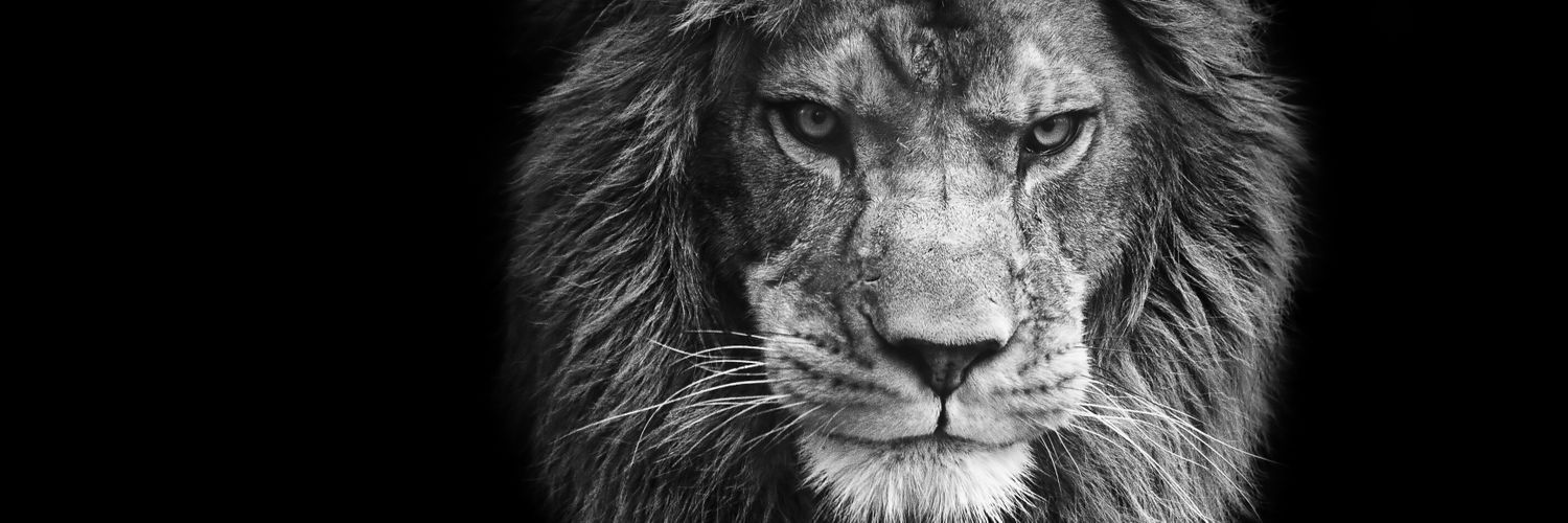 vinishv007's profile banner image