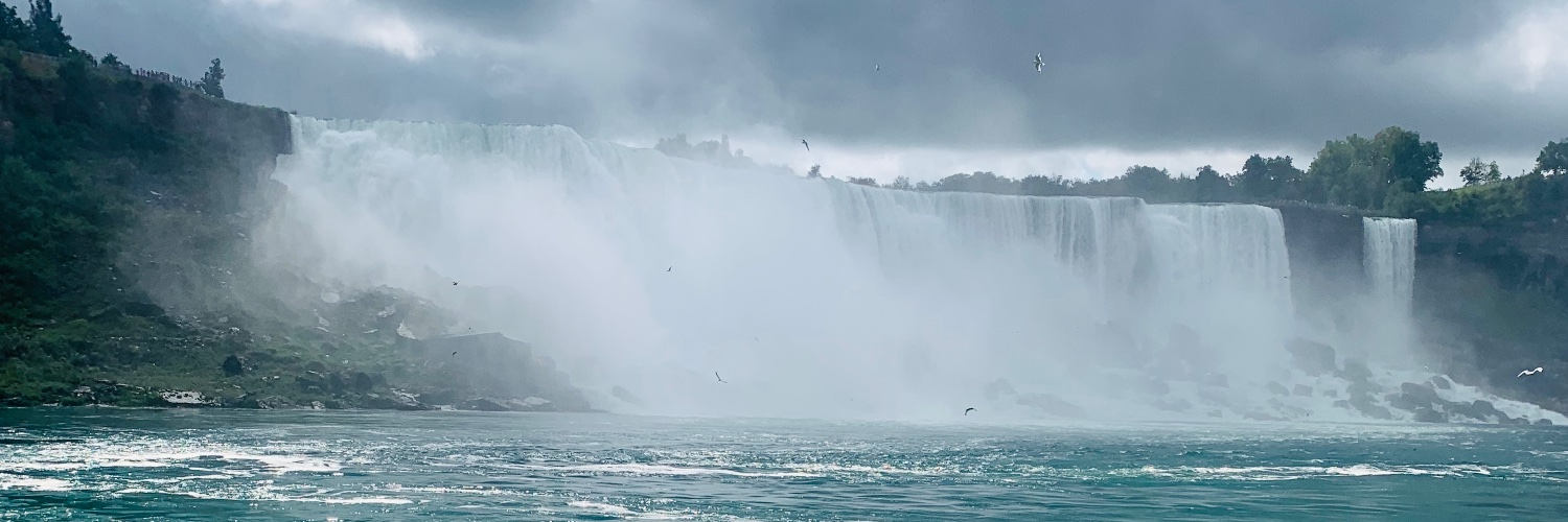 z1bah's profile banner image