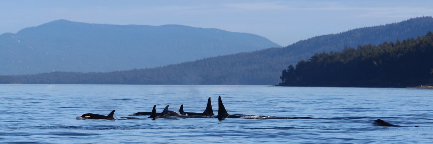 oceansresearch's profile banner image