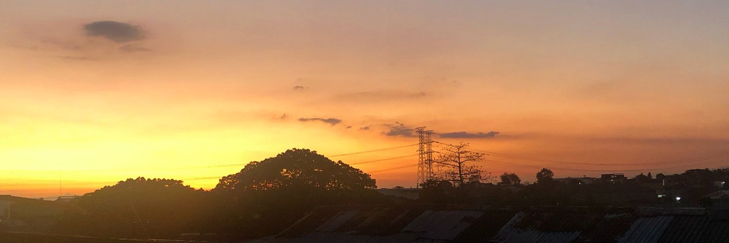 shesellsdbrp's profile banner image