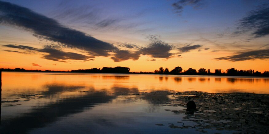 Giulia Pietroboni banner