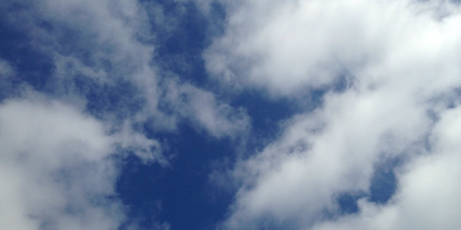 MossPerform's profile banner image