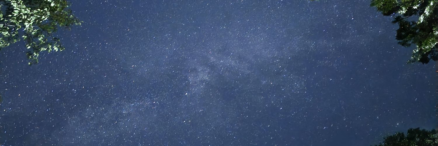 sinsinyu's profile banner image