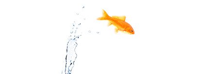 nanoblogging's profile banner image