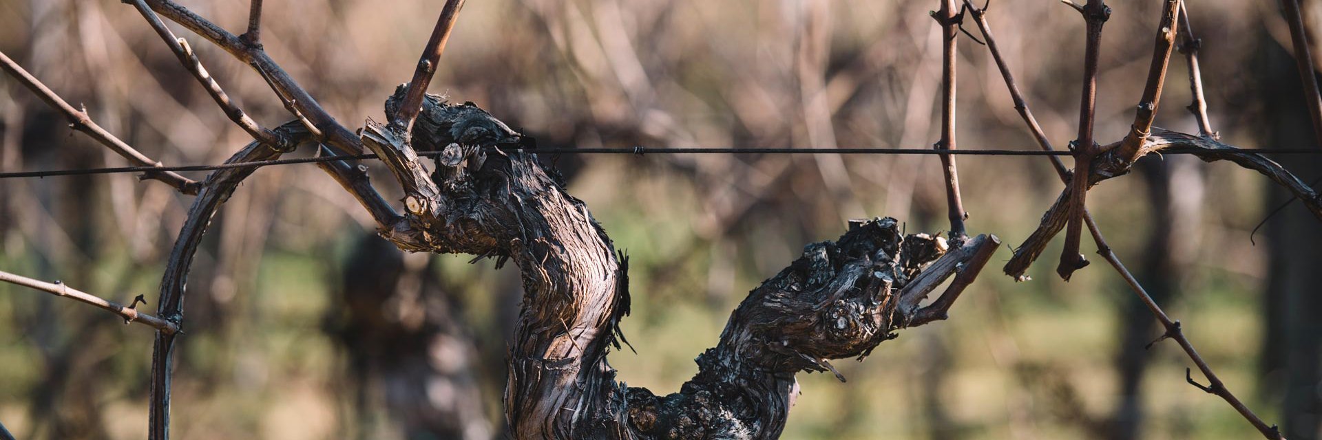 Simonit&Sirch banner